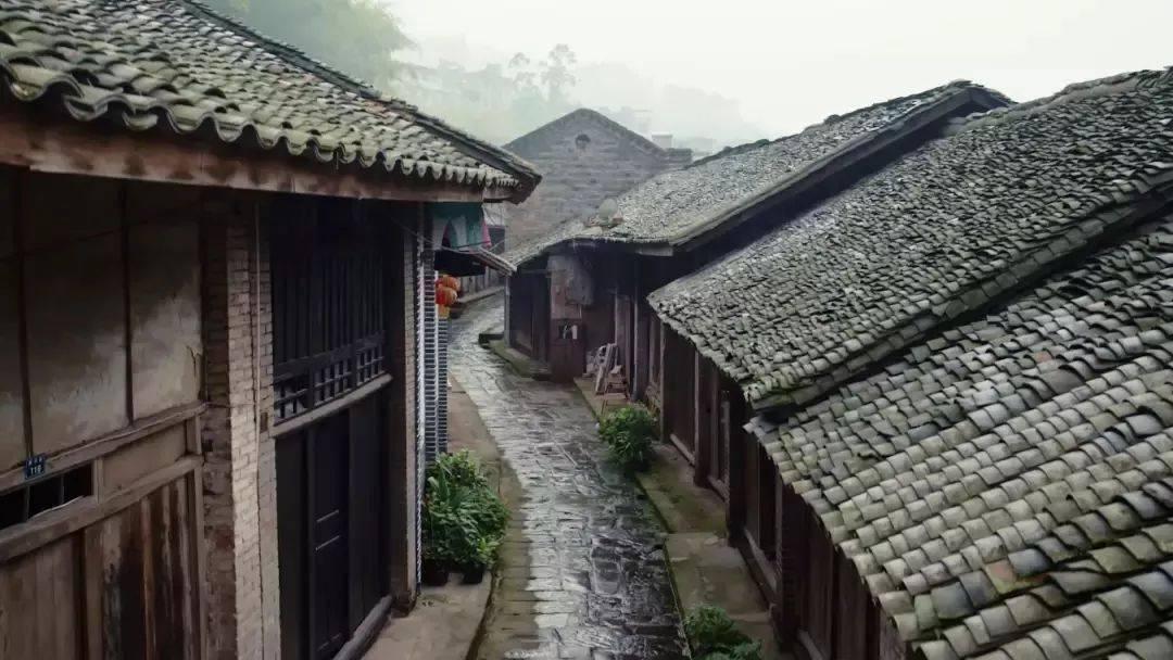 机智问答网页-聪明答案尽在看完之后才懂得他的悲剧,《周生如故》周生辰的经历有多痛苦?